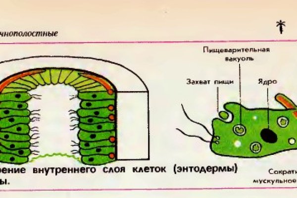 Black sprut не работает сегодня