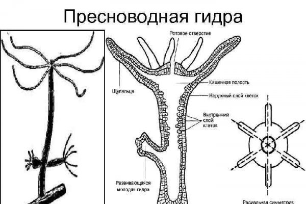 Адрес блэк спрут