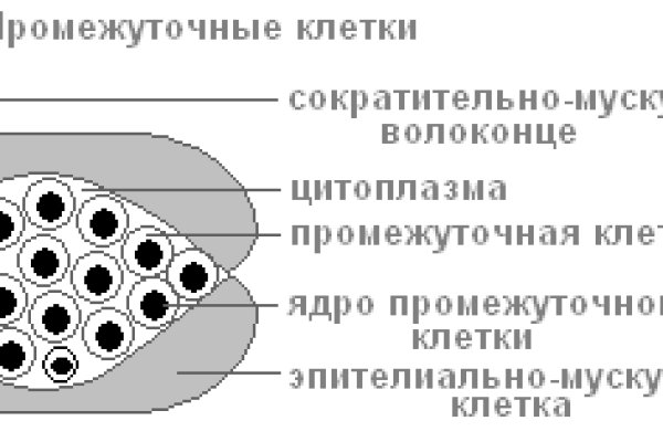 Blacksprut не заходит