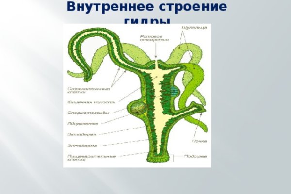 Аккаунт блэк спрут 1blacksprut me