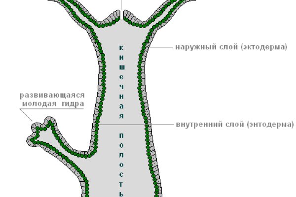 Как выиграть в рулетку на blacksprut